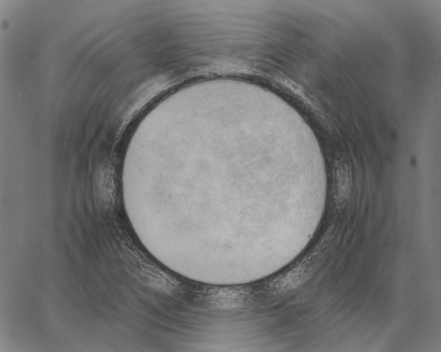 X0000062871266200602101643