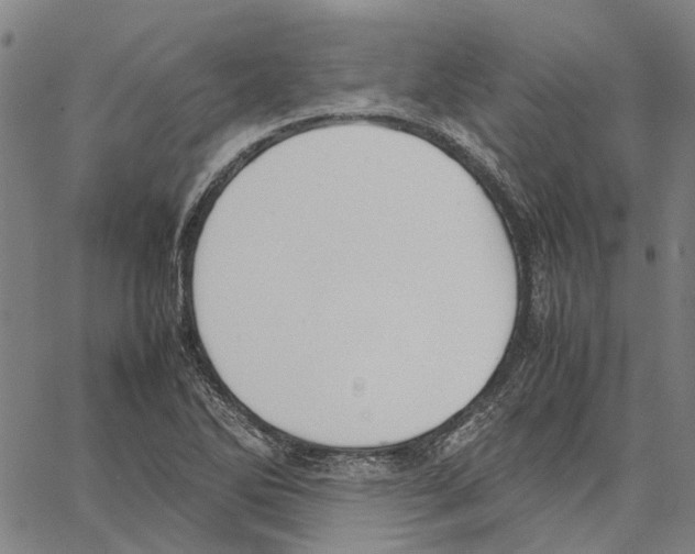 X0000062871270200602101642