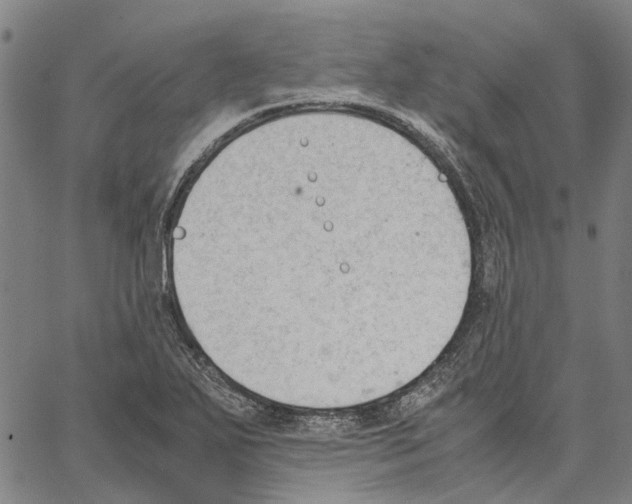 X0000062871271200602101642