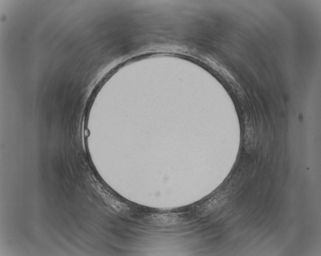 X0000062871272200602101642