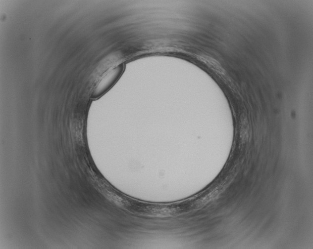 X0000062871273200602101642