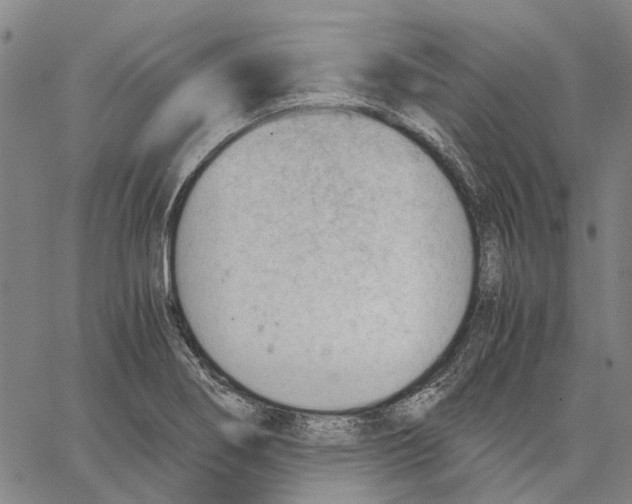 X0000062871274200602101642