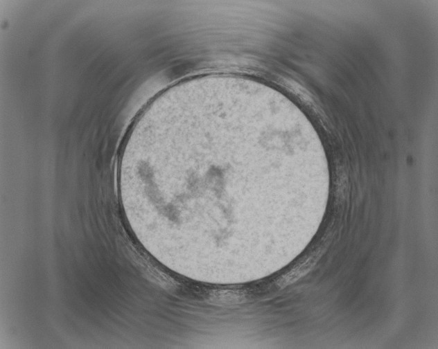 X0000062871275200602101642