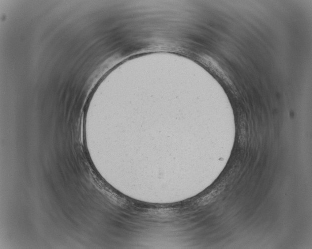 X0000062871276200602101642