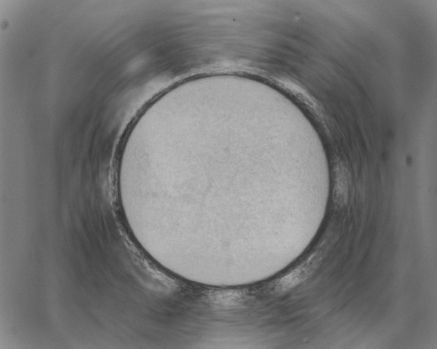 X0000062871278200602101642