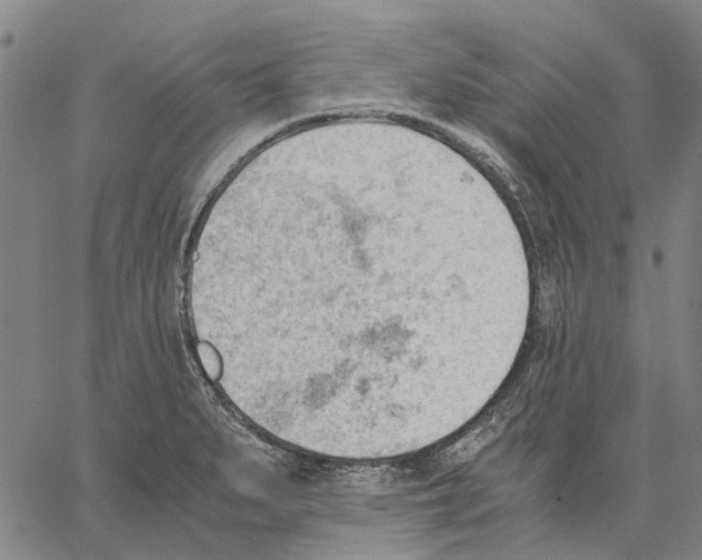 X0000062871279200602101642