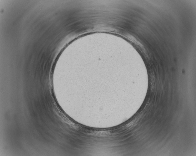 X0000062871280200602101642