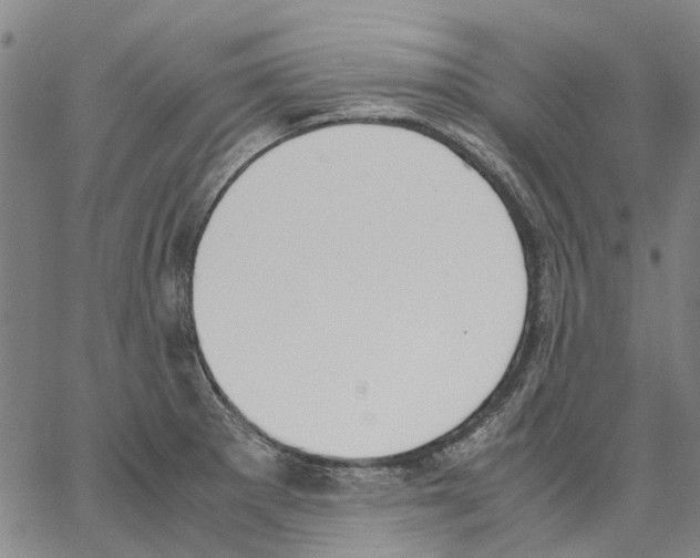 X0000062871281200602101642