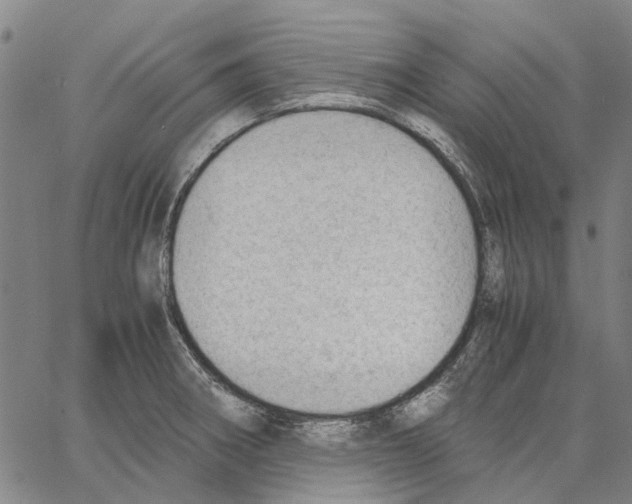 X0000062871282200602101642