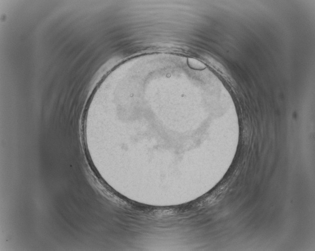 X0000062871283200602101642