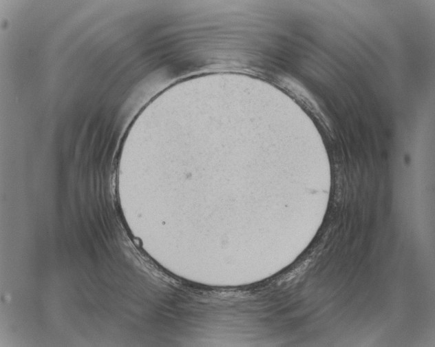 X0000062871284200602101642