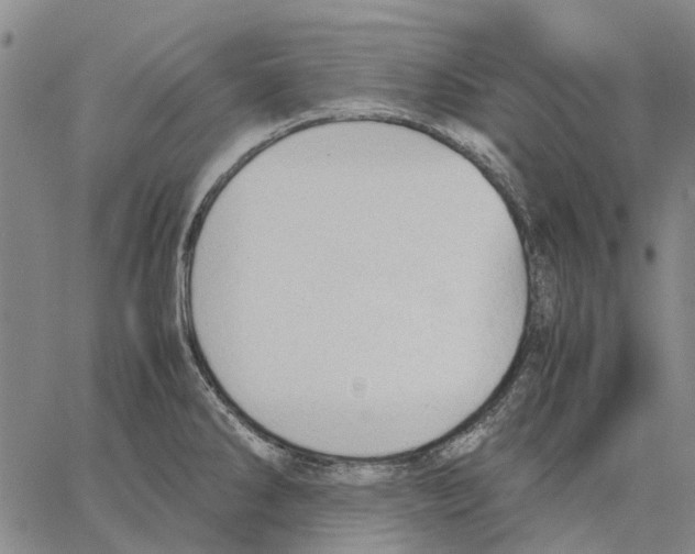 X0000062871286200602101642