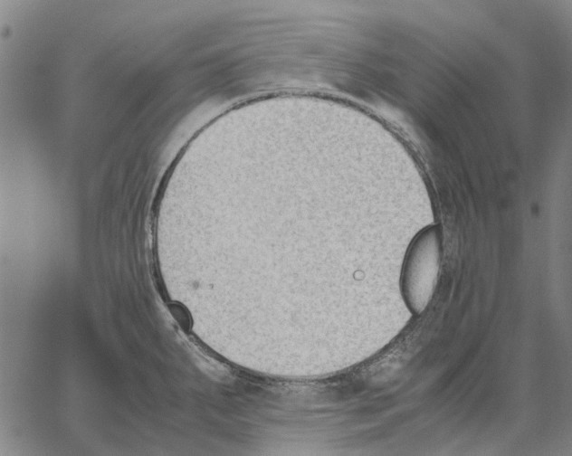 X0000062871287200602101642