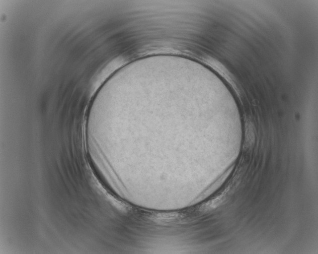 X0000062871290200602101642