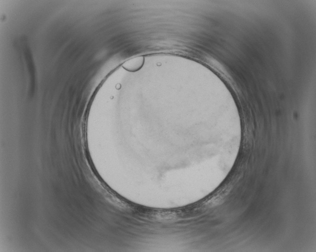 X0000062871291200602101642