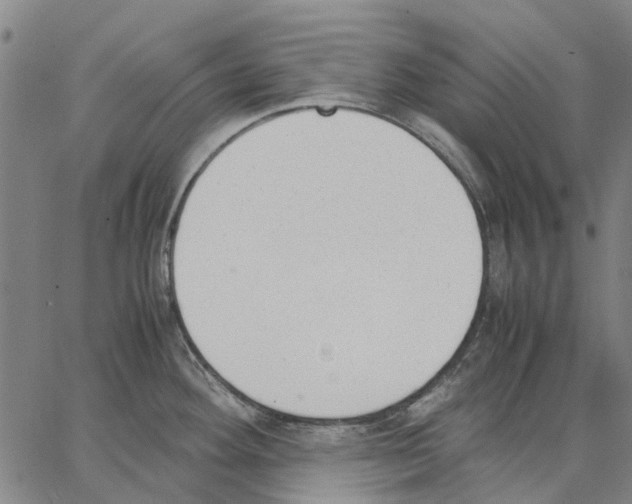 X0000062871292200602101642