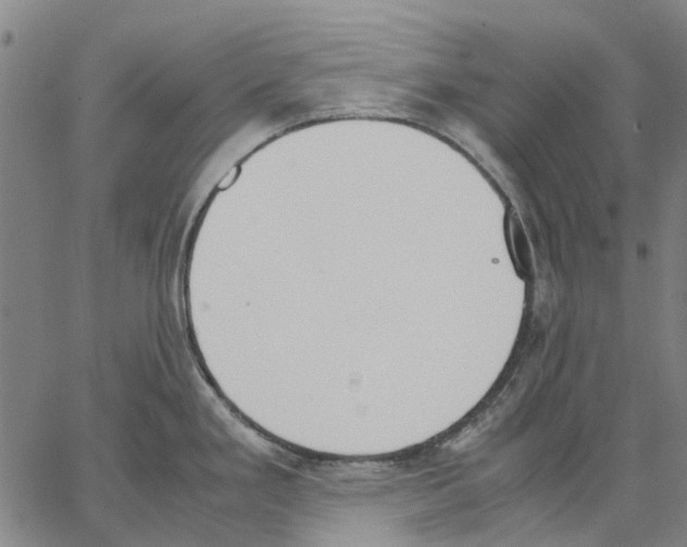 X0000062871293200602101642