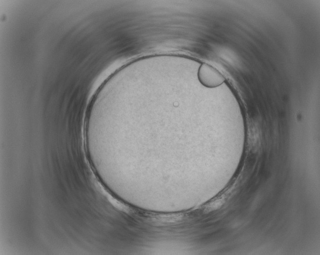 X0000062871294200602101642