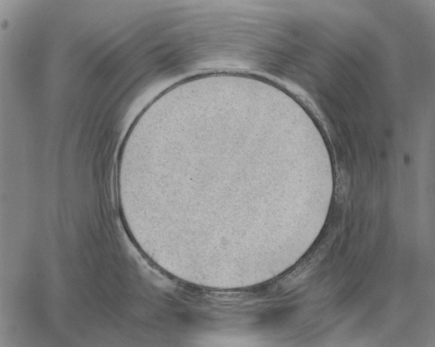 X0000062871295200602101642