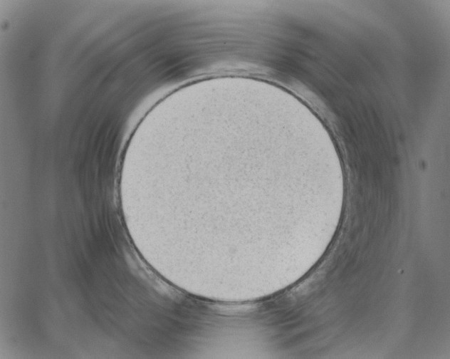 X0000062871296200602101642