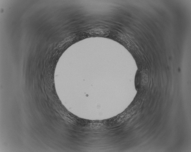 X0000062871297200602101641