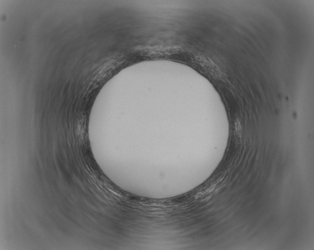 X0000062871300200602101641