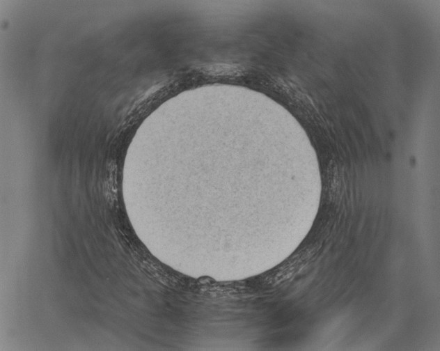 X0000062871301200602101641