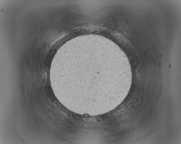 X0000062871302200602101641