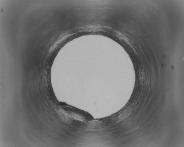 X0000062871304200602101641