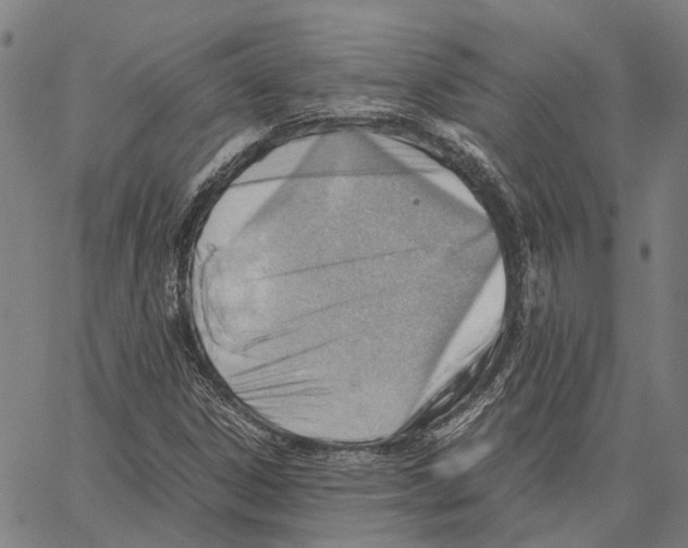 X0000062871306200602101641