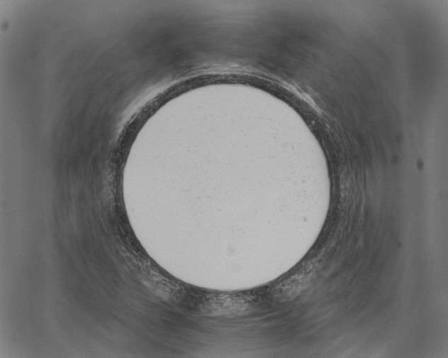 X0000062871311200602101641