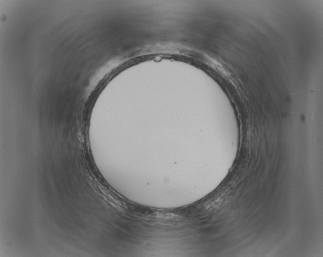 X0000062871312200602101642