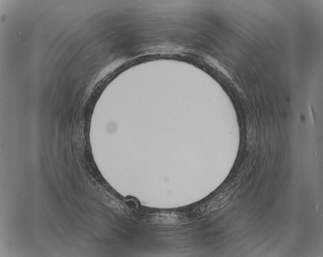 X0000062871315200602101642