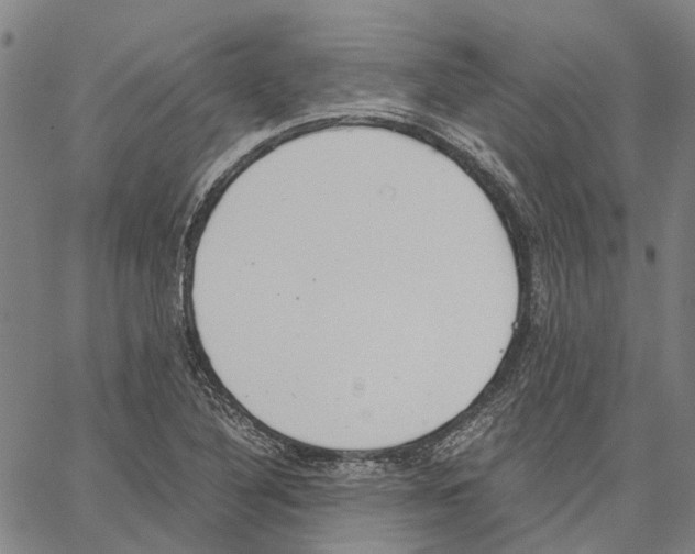 X0000062871316200602101642