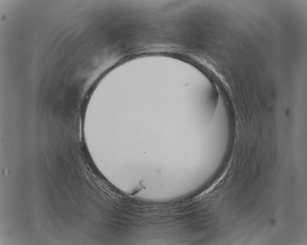 X0000062871317200602101642