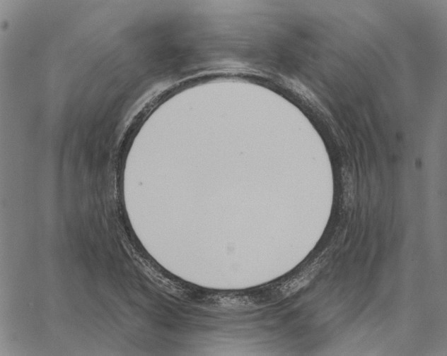 X0000062871318200602101642