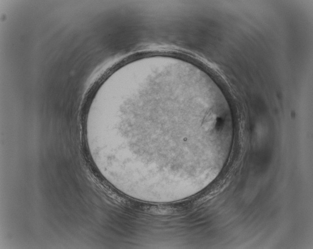 X0000062871319200602101642