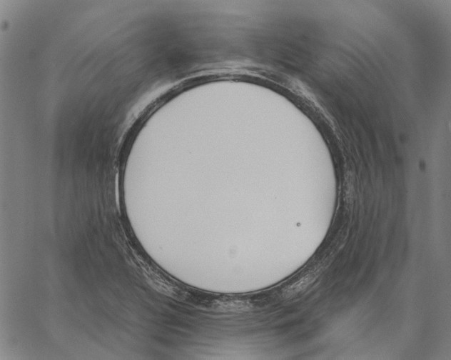 X0000062871320200602101642