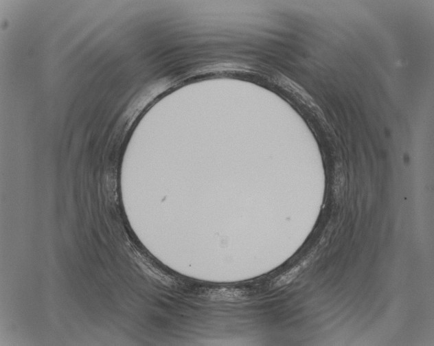 X0000062871321200602101642