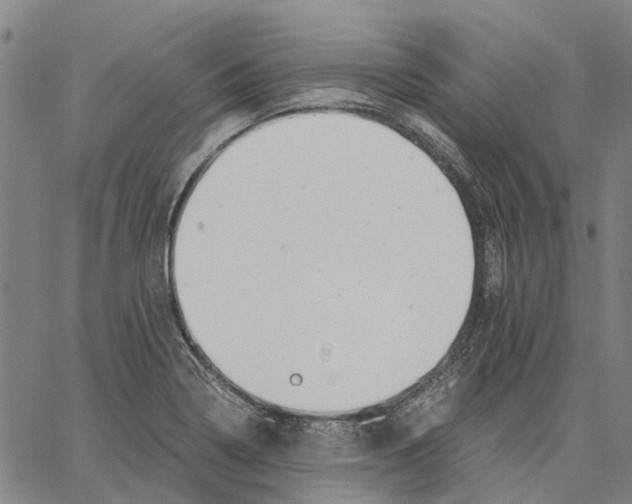 X0000062871322200602101642