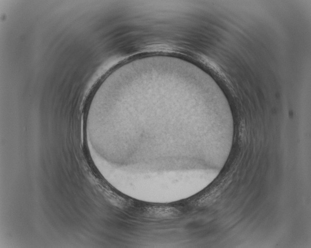 X0000062871323200602101642