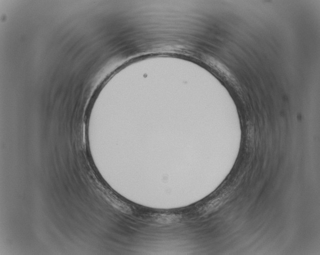 X0000062871324200602101642