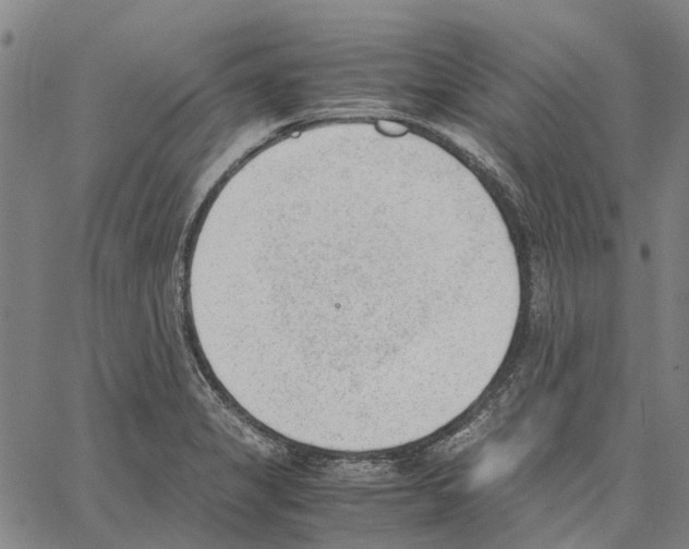 X0000062871325200602101642