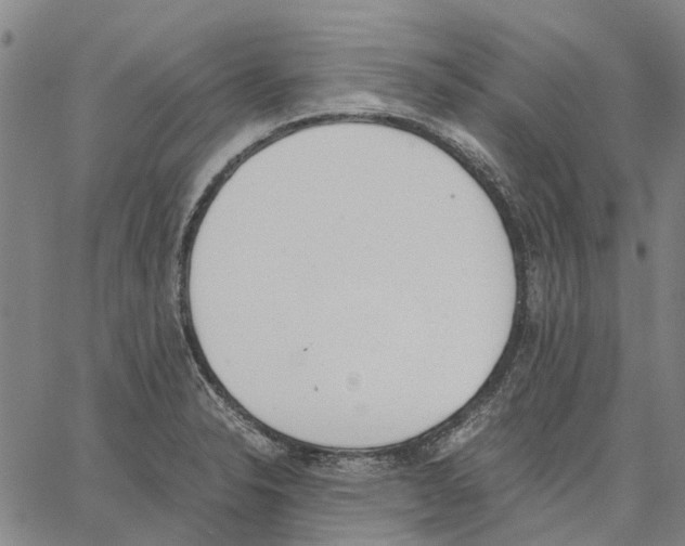 X0000062871326200602101642