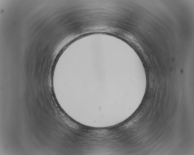 X0000062871328200602101642