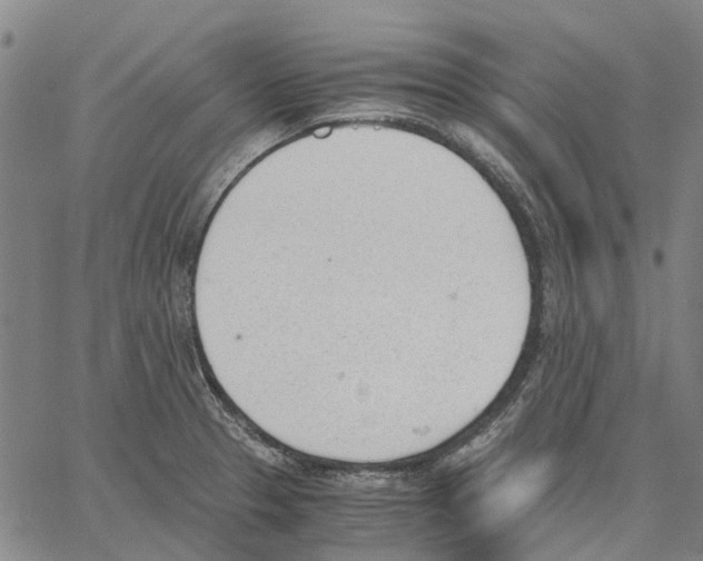 X0000062871329200602101642