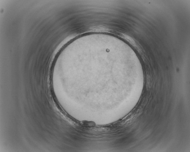 X0000062871331200602101642