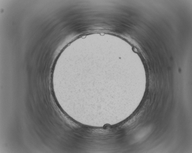 X0000062871333200602101642