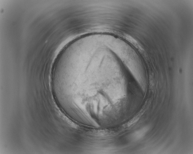 X0000062871334200602101642