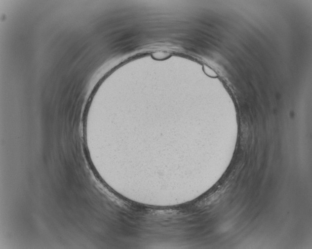 X0000062871335200602101642